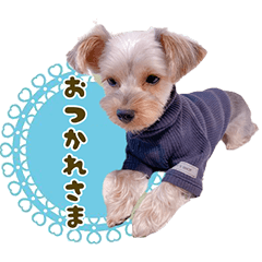 わんカフェ スタンプ