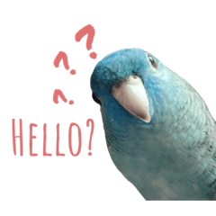 Sandy_20211218150339