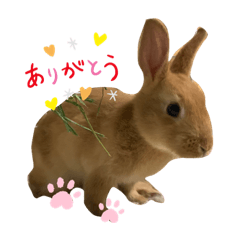 こむぎたんのスタンプ2