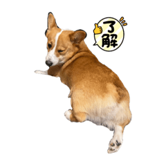 高橋さん家のぶろりぃくん1