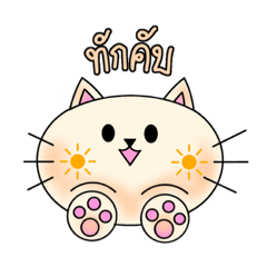 What color is the cat today