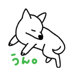 チワワ　僕の毎日