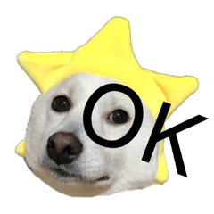 柴犬の梅ちゃんスタンプ