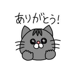 わが家のねこズ　日常編