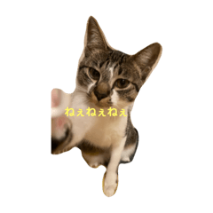 可愛いみっちゃんスタンプ1