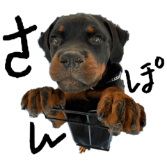 ぷぷとゆかいな仲間たち④