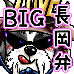 ワイルドシーズーpart6.1  傑作☆長岡弁BIG