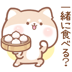 柴犬パオズ-日常生活