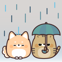 飛び出す！ふてぶてしばいぬ＆キジトラ猫 3