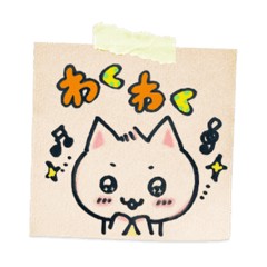 白猫のあかちゃん