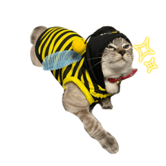 シンプルおこげ様