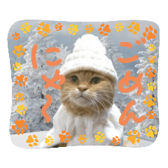 ポンちゃんコスチューム１