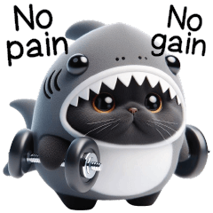 サメの着ぐるみを着た黒猫