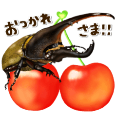 リアルクワカブ☆春夏　長く使えるスタンプ