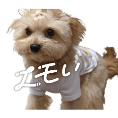 ひまわり〜初代〜