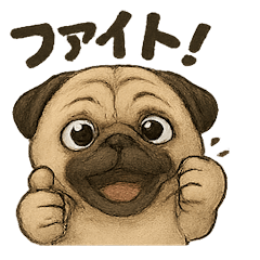 パグの感情フルスロットル！