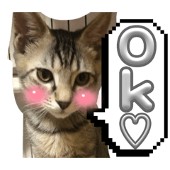 マリオリbroฅ( ̳• ·̫ • ̳ฅ)Vol.2