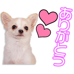 松本家の胡桃ちゃん