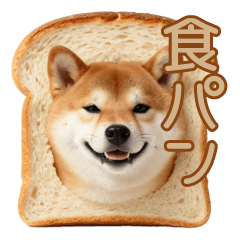 食パン柴犬のシュールな相槌