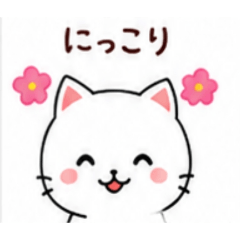 ゆるかわ白ねこ毎日スタンプ