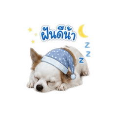 Daewhazz_20260501173329