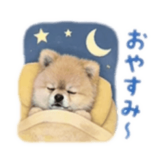ぽんぴゃん