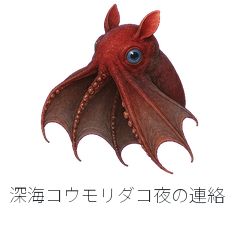 深海コウモリダコ夜の連絡
