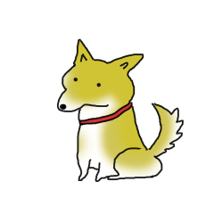 芝犬ファミリーの日常