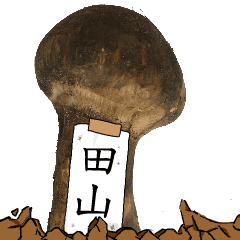 松茸研究家田山さんのマツタケ