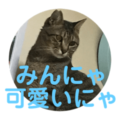 充実したうめたんらいふにゃ！