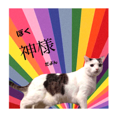 4次元みぃすけくん