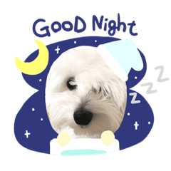 らての日常 マルックス