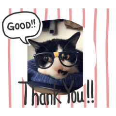 ちくわのせいかつ