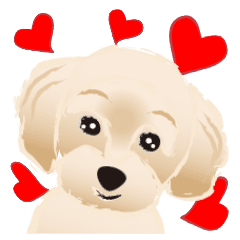 動く！かわいい犬のマルちゃん