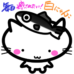 毎日癒されたい！白にゃんこ