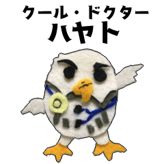 クール・ドクター・ハヤト