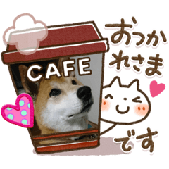 柴犬＊くりの日常言葉