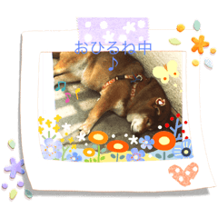 モフあんどシオン