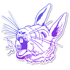 表情豊かな動物たち♪