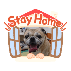 ゆずとナオのステイホーム