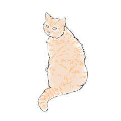 みいちゃんの過ごし方