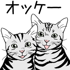 ツンデレアメショ！