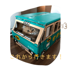 モコ♥ビビ♥たまぁに〇