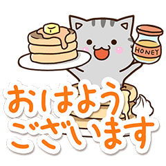 おちゃめなアメショ【ていねい返信編】