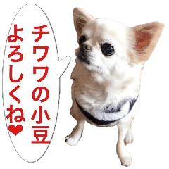 サンキューおっさんとゆかいな仲間達 2４