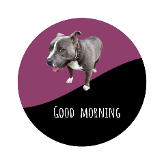 アメリカンブリースタンプ～日常会話～犬