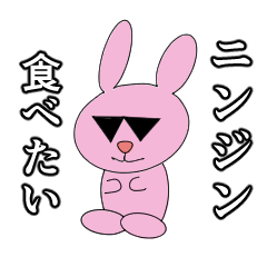 グラサンウサギ!