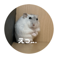 だ・い・ふ・く