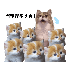 福猫＆花猫〜弁護士が使えそうなスタンプ〜