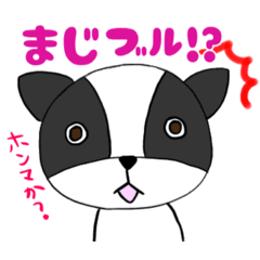 ブブルとコテツ1